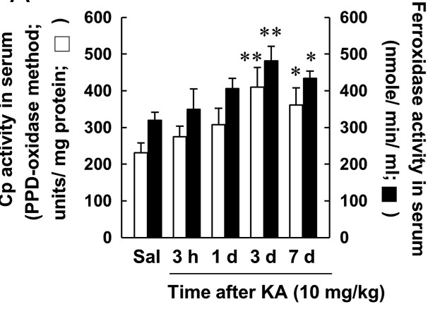 KA-induced changes in Cp and ferroxidase activity.jpg